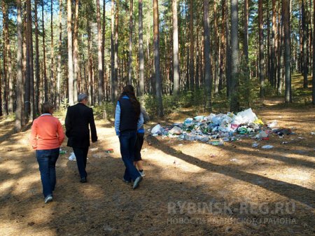 Эколагерь для волонтеров в Рыбинском районе