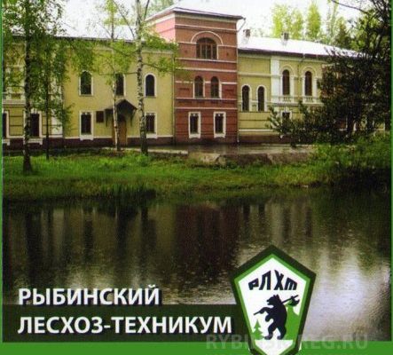 Юные друзья леса: экскурсия школьников в техникум